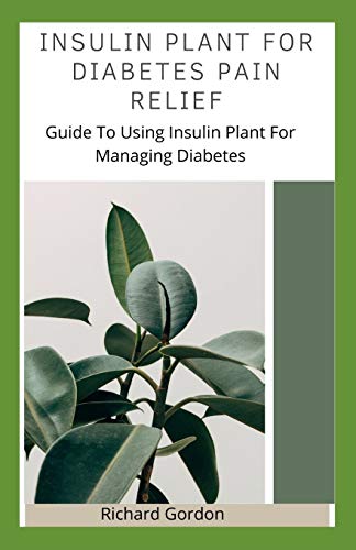 INSULIN PLANT FOR DIABETES PAIN RELIEF: Guide To Using Insulin Plant For Managing Diabetes von Independently Published