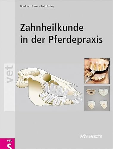 Zahnheilkunde in der Pferdepraxis