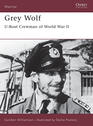 Grey Wolf: U-boat Crewman of World War II (Warrior, 36)