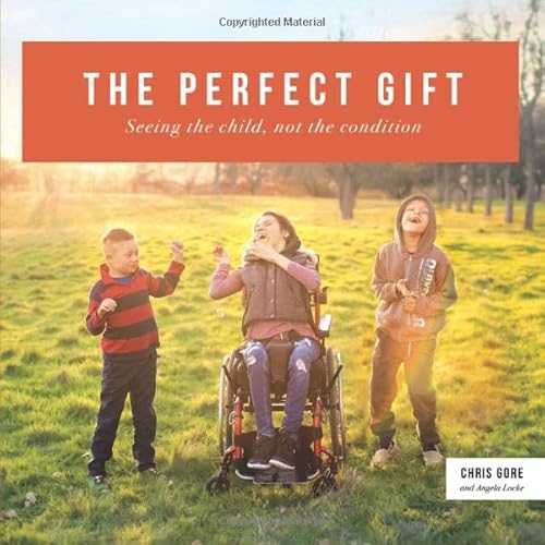 The Perfect Gift: Seeing the child, not the condition von Independently published