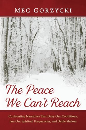 The Peace We Can't Reach: Confronting Narratives That Deny Our Conditions, Jam Our Spiritual Frequencies, and Defile Shalom von Resource Publications