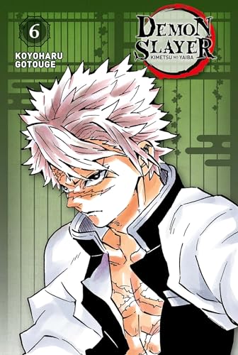Demon Slayer - Edition Pilier T06 von PANINI