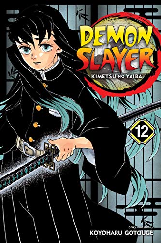 Demon Slayer: Kimetsu no Yaiba, Vol. 12 (DEMON SLAYER KIMETSU NO YAIBA GN, Band 12) von Simon & Schuster