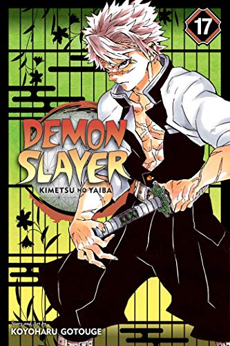 Demon Slayer: Kimetsu no Yaiba, Vol. 17 (DEMON SLAYER KIMETSU NO YAIBA GN, Band 17) von Simon & Schuster