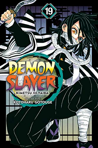 Demon Slayer: Kimetsu no Yaiba, Vol. 19 (DEMON SLAYER KIMETSU NO YAIBA GN, Band 19)