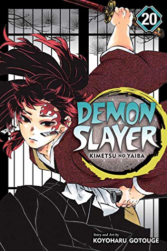 Demon Slayer: Kimetsu no Yaiba, Vol. 20 (DEMON SLAYER KIMETSU NO YAIBA GN, Band 20)