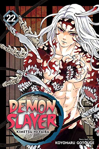 Demon Slayer: Kimetsu no Yaiba, Vol. 22 (DEMON SLAYER KIMETSU NO YAIBA GN, Band 22) von Simon & Schuster