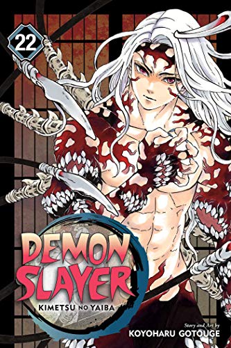 Demon Slayer: Kimetsu no Yaiba, Vol. 22 (DEMON SLAYER KIMETSU NO YAIBA GN, Band 22) Demon Slayer: Kimetsu no Yaiba, Vol. 22 (DEMON SLAYER KIMETSU NO YAIBA GN, Band 22)