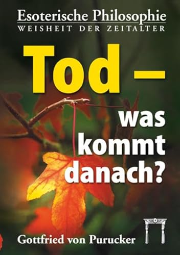 Tod - was kommt danach?: Der Tod, das Tor zu neuem Leben!
