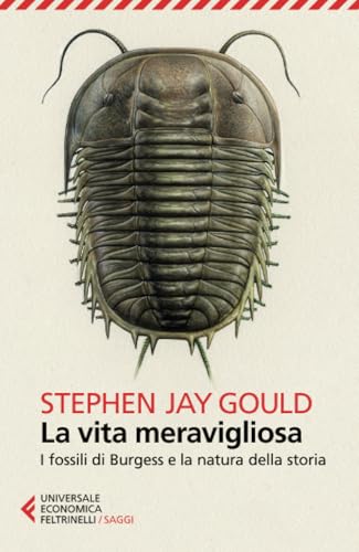 La vita meravigliosa (Universale economica. Saggi, Band 8596)