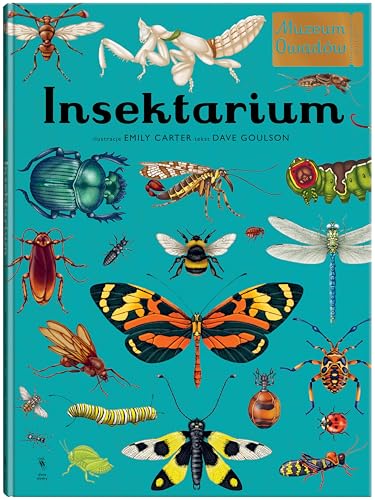 Insektarium Muzeum Owadów (W MUZEUM) von Dwie Siostry