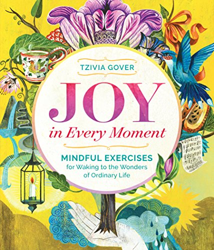 Joy in Every Moment: Mindful Exercises for Waking to the Wonders of Ordinary Life von Workman Publishing