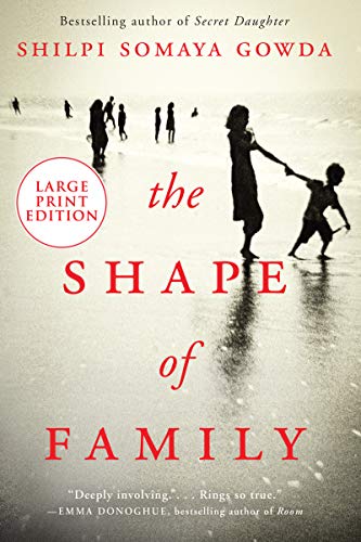 The Shape of Family: A Novel