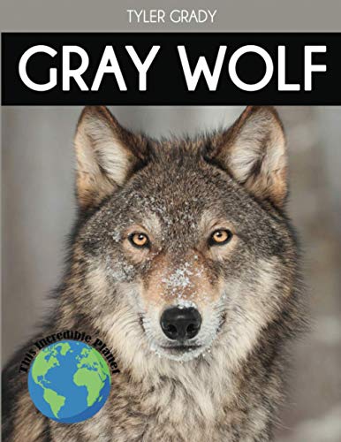 Gray Wolf: Fascinating Animal Facts for Kids (This Incredible Planet) von Dylanna Publishing, Inc.