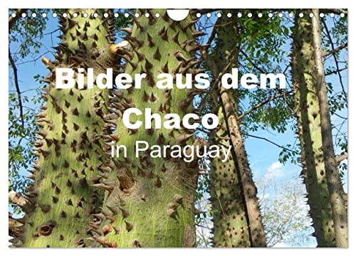 Bilder aus dem Chaco in Paraguay (Wandkalender 2025 DIN A4 quer), CALVENDO Monatskalender von CALVENDO