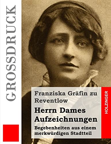 Herrn Dames Aufzeichnungen (Großdruck): Begebenheiten aus einem merkwürdigen Stadtteil