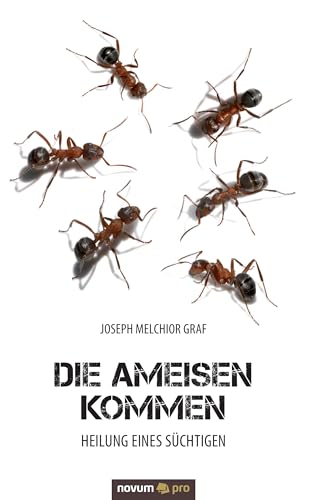 Die Ameisen kommen: Heilung eines Süchtigen von Novum Pro