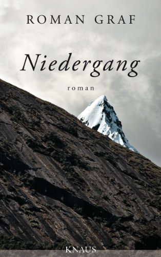Niedergang: Roman