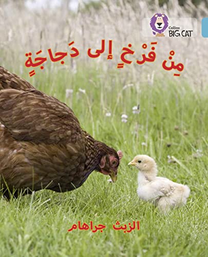 Chick to Hen: Level 7 (Collins Big Cat Arabic Reading Programme) von Collins