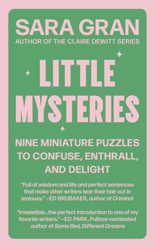 Little Mysteries: Nine Miniature Puzzles to Confuse, Enthrall, and Delight von Dreamland Books
