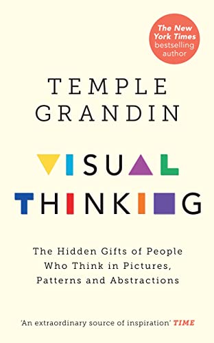 Visual Thinking: The Hidden Gifts of People Who Think in Pictures, Patterns and Abstractions von Rider