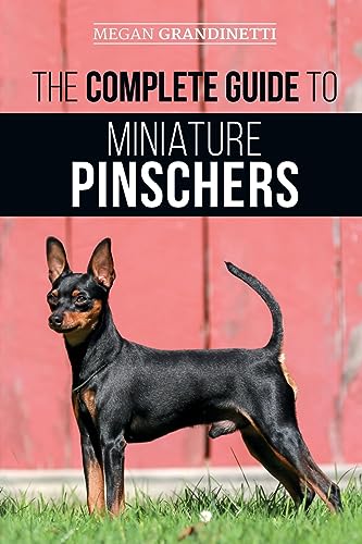 The Complete Guide to Miniature Pinschers: Training, Feeding, Socializing, Caring for and Loving Your New Min Pin Puppy The Complete Guide to Miniature Pinschers: Training, Feeding, Socializing, Caring for and Loving Your New Min Pin Puppy von LP Media Inc