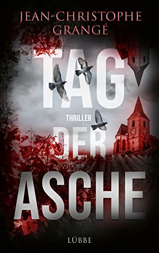 Tag der Asche: Thriller