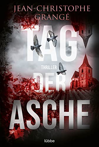 Tag der Asche: Thriller von Bastei Lübbe