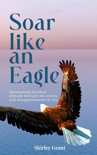 SOAR LIKE AN EAGLE: Maintaining Spiritual Altitude through the Storms and Disappointments of Life von UK Book Publishing