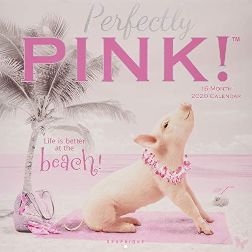 Perfectly Pink - Glücksschweine 2020 - 16-Monatskalender: Original Graphique de France-Kalender [Mehrsprachig] [Kalender] (Wall-Kalender) von Graphique