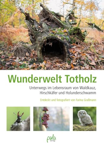 Wunderwelt Totholz: Unterwegs im Lebensraum von Waldkauz, Hirschkäfer und Holunderschwamm Entdeckt und fotografiert von Farina Graßmann