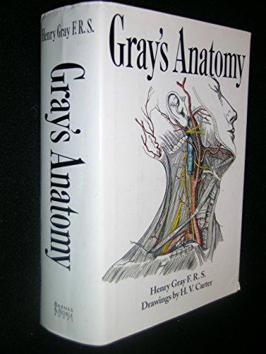 Anatomy: Descriptive and Surgical