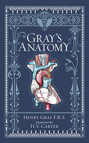 Gray's Anatomy (Barnes & Noble Collectible Classics: Omnibus (Barnes & Noble Leatherbound Classic Collection)
