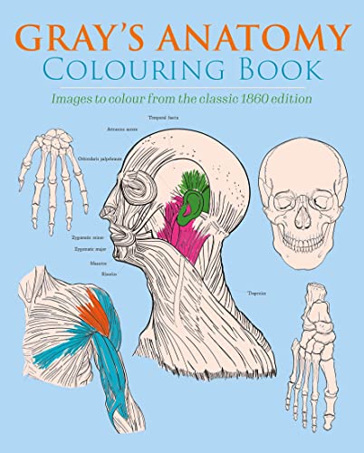 Gray's Anatomy Colouring Book: Images to Colour from the Classic 1860 Edition (Arcturus Creative Colouring) von Arcturus