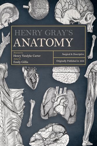 Henry Gray's Anatomy: Descriptive and Surgical von Art Meets Science