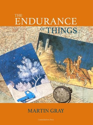 The Endurance of Things von Constellations Press