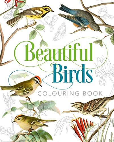 Beautiful Birds Colouring Book (Arcturus Classic Nature Colouring) von Arcturus
