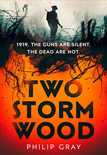Two Storm Wood: Uncover an unsettling mystery of World War One in the The Times Thriller of the Year von Harvill Secker