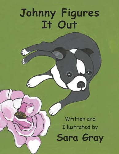 Johnny Figures It Out von Bookbaby