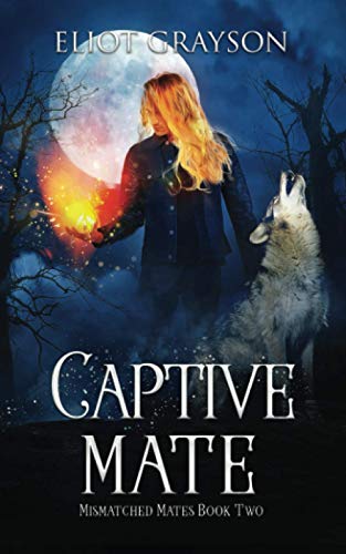 Captive Mate (Mismatched Mates, Band 2) von Independently published