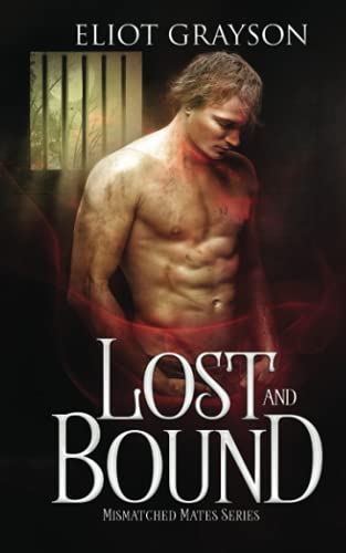 Lost and Bound (Mismatched Mates, Band 6)