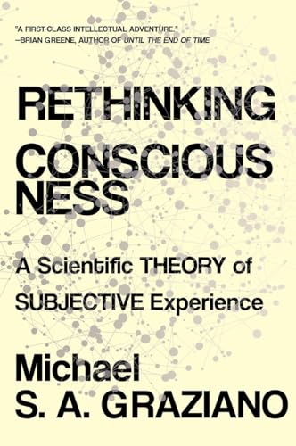 Rethinking Consciousness: A Scientific Theory of Subjective Experience