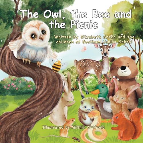 The Owl, the Bee and the Picnic von Grosvenor House Publishing Ltd