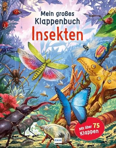 Klappenbuch - Insekten: mit über 75 Klappen und spannenden Sachinformationen