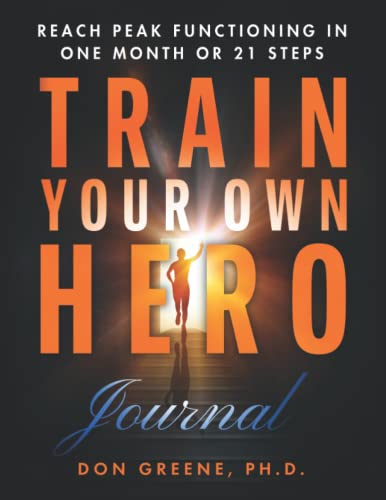 Train Your Own Hero: Journal