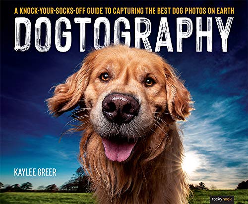Dogtography: A Knock-Your-Socks-Off Guide to Capturing the Best Dog Photos on Earth von Rocky Nook