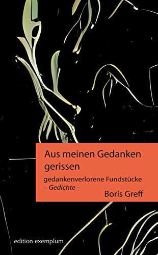 Aus meinen Gedanken gerissen: gedankenverlorene Fundstücke – Gedichte (Edition Exemplum)