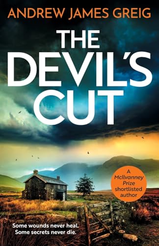 The Devil’s Cut (Detective Corstorphine, Band 2) von Storm Publishing
