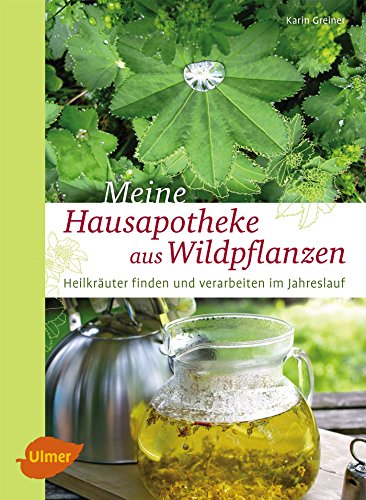 Meine Hausapotheke aus Wildpflanzen: Heilkräuter finden und verarbeiten im Jahreslauf