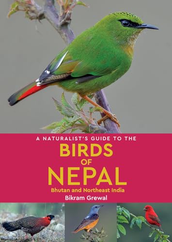 A Naturalist's Guide to the Birds of Nepal: Bhutan and Northeast India (Naturalist's Guides) von John Beaufoy Publishing Ltd